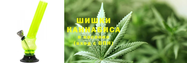 СК Богородск