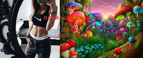 молекула духа Белокуриха