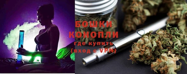 молекула духа Иннополис