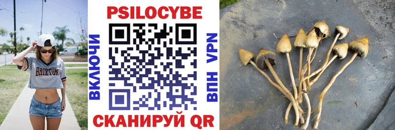гидра как войти  наркошоп  Бузулук  Псилоцибиновые грибы Psilocybine cubensis 