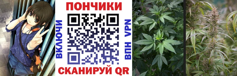 ОМГ ОМГ вход  где продают   Бузулук  Канабис гибрид 